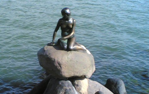 Enlarged view of image
